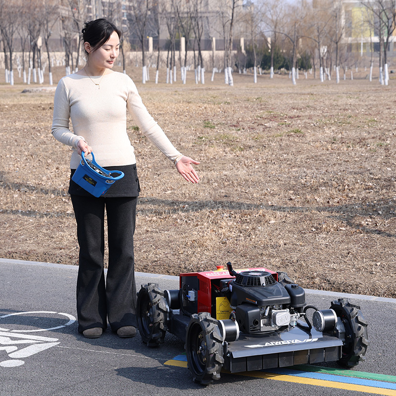 Tagliaerba Robotizzato Telecom - Robot Wheel recensione e prezzo